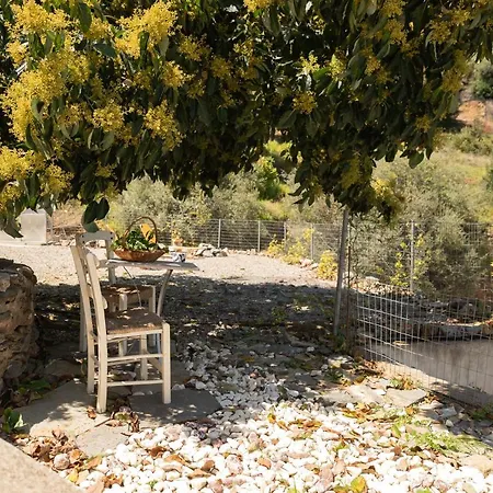 Feana Tatil Evi Psathogiannos